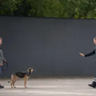 Kursmotiv zum BOS-Academy-Kurs „Umgang mit Hunden im Einsatz“.